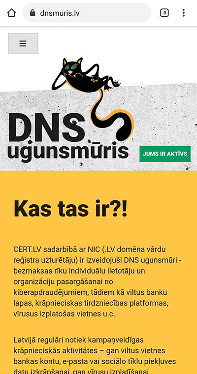 dns pārbaude